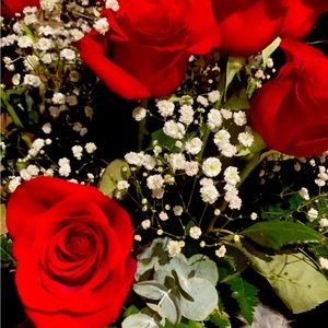 Meet your Posher, Zor